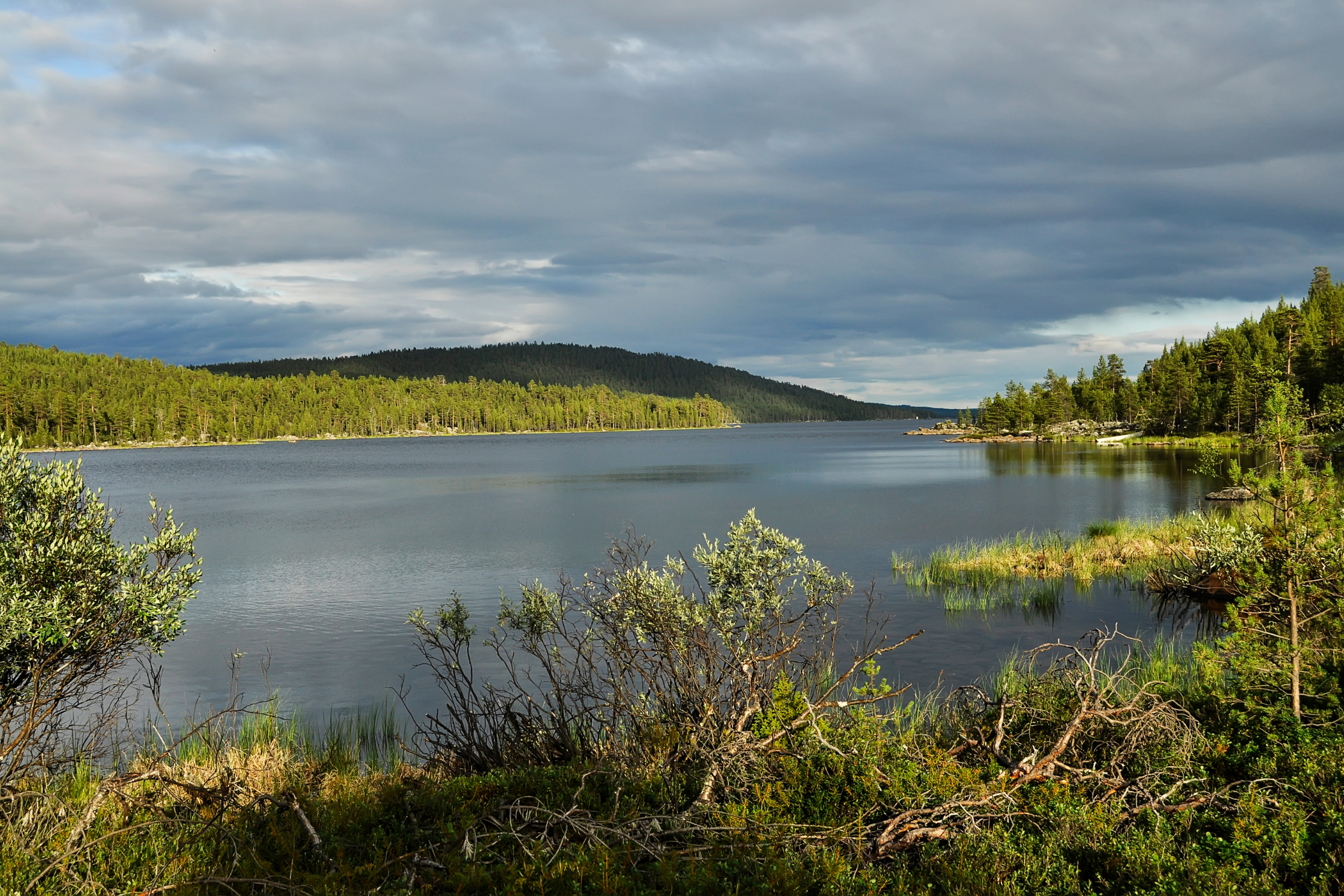 gulf of bothnia.webp